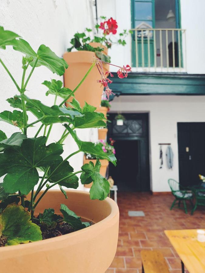 Maria Magdalena - Room 2 Málaga Exterior foto